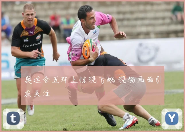 奥运会五环上惊现飞蛾 现场画面引发关注