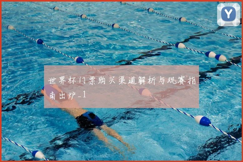 世界杯门票购买渠道解析与观赛指南出炉_1