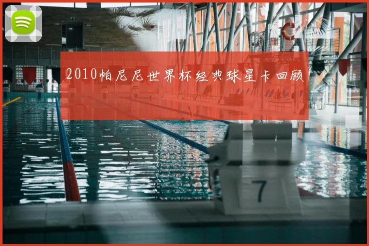 2010帕尼尼世界杯经典球星卡回顾