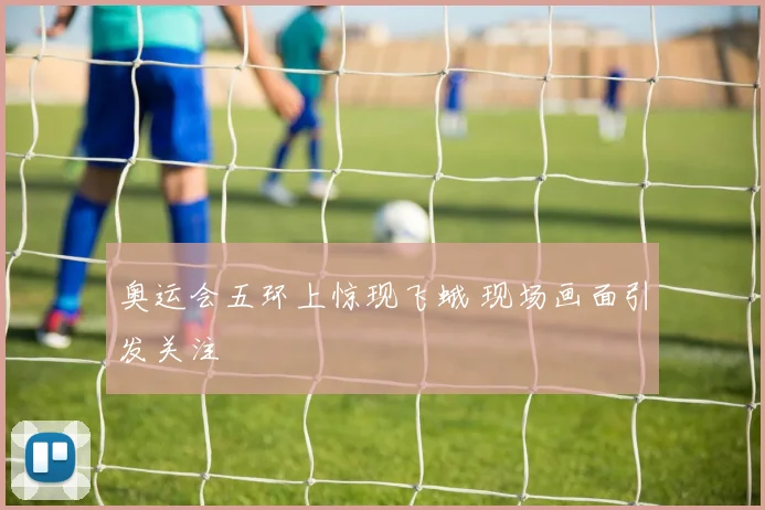 奥运会五环上惊现飞蛾 现场画面引发关注