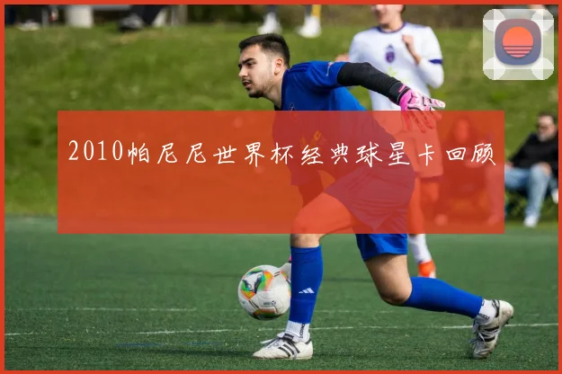 2010帕尼尼世界杯经典球星卡回顾