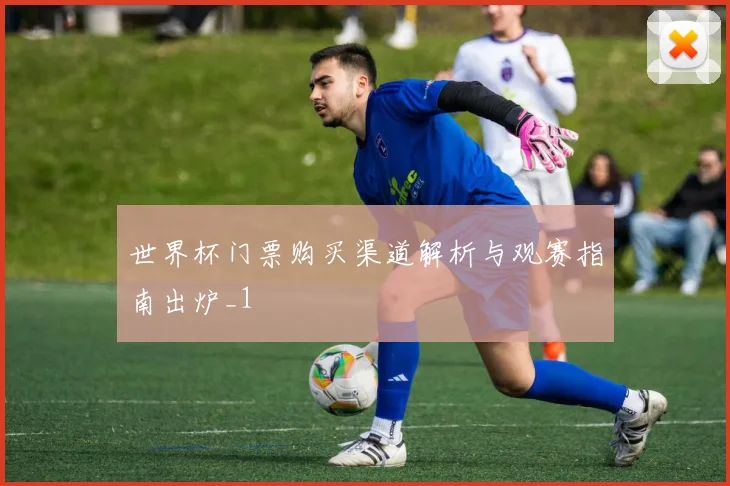 世界杯门票购买渠道解析与观赛指南出炉_1
