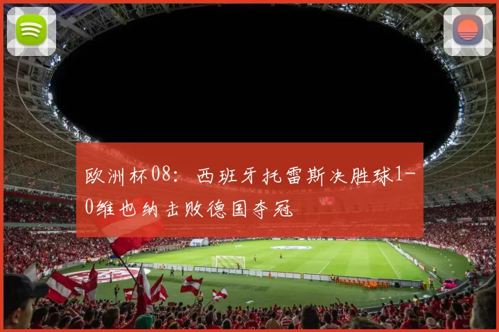 欧洲杯08:西班牙托雷斯决胜球1-0维也纳击败德国夺冠