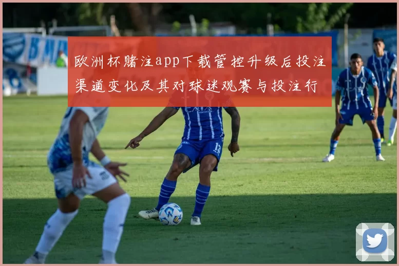 欧洲杯赌注app下载管控升级后投注渠道变化及其对球迷观赛与投注行为影响
