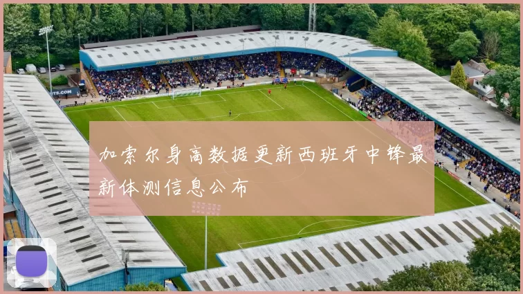 加索尔身高数据更新西班牙中锋最新体测信息公布