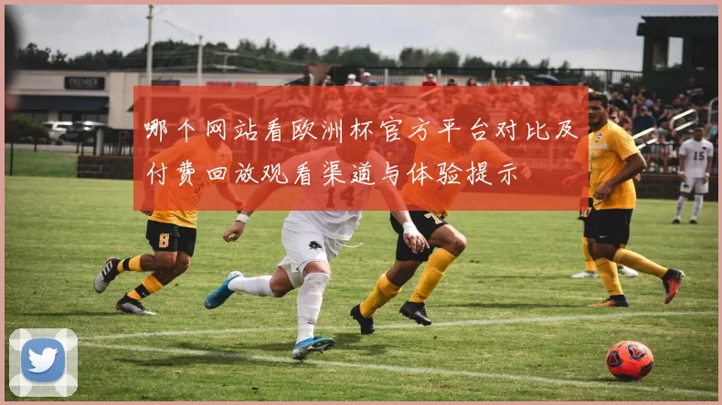 哪个网站看欧洲杯官方平台对比及付费回放观看渠道与体验提示