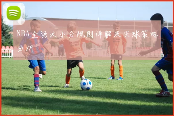 NBA全场大小分规则详解及买球策略分析