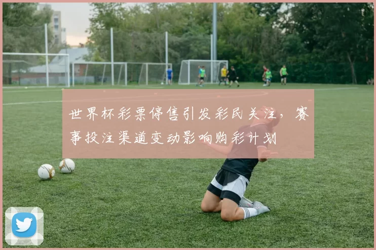 世界杯彩票停售引发彩民关注，赛事投注渠道变动影响购彩计划