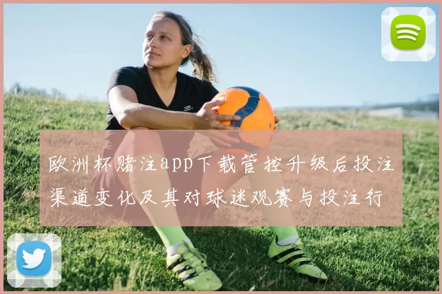 欧洲杯赌注app下载管控升级后投注渠道变化及其对球迷观赛与投注行为影响