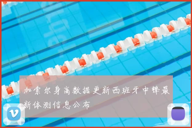 加索尔身高数据更新西班牙中锋最新体测信息公布