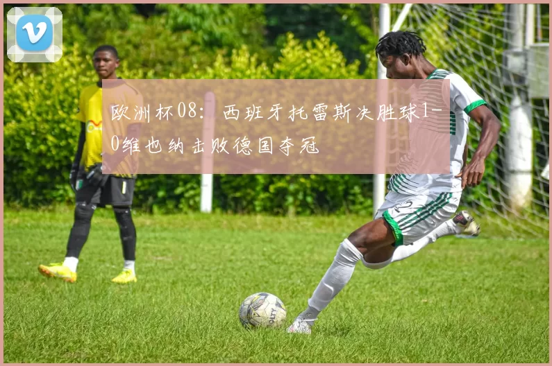 欧洲杯08:西班牙托雷斯决胜球1-0维也纳击败德国夺冠