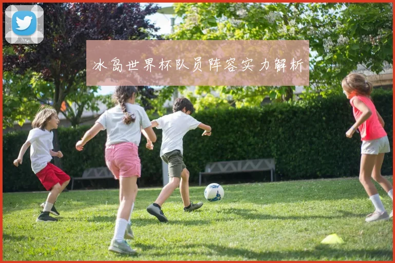 冰岛世界杯队员阵容实力解析