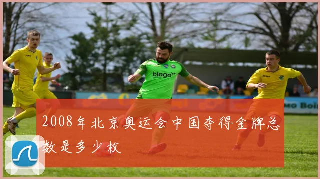2008年北京奥运会中国夺得金牌总数是多少枚