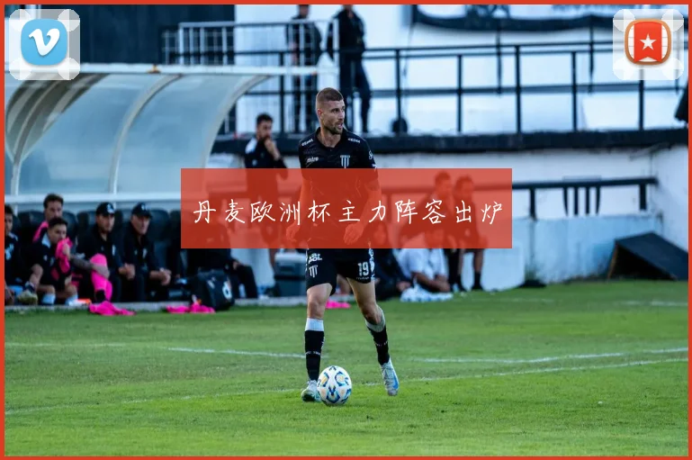 丹麦欧洲杯主力阵容出炉