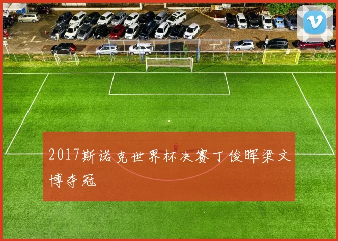 2017斯诺克世界杯决赛丁俊晖梁文博夺冠